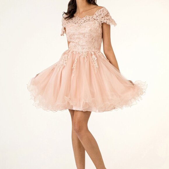 new blushBoat Neck Tulle Short Dress GS1953